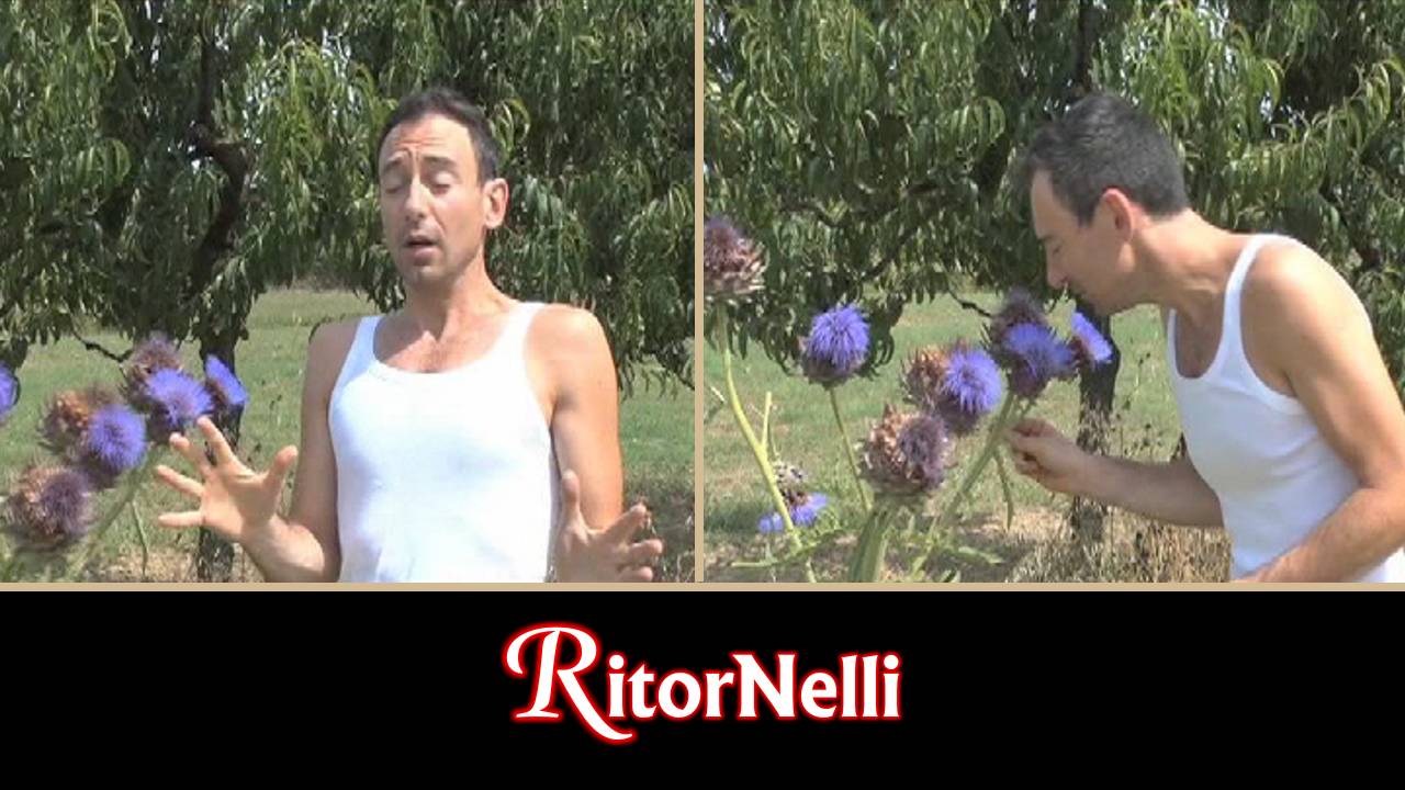 Trasmissione RitorNelli